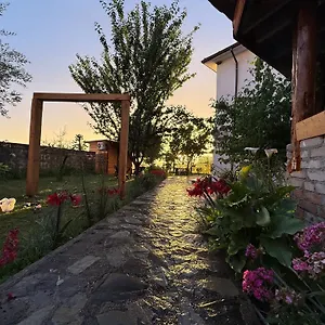 Meti Guest house